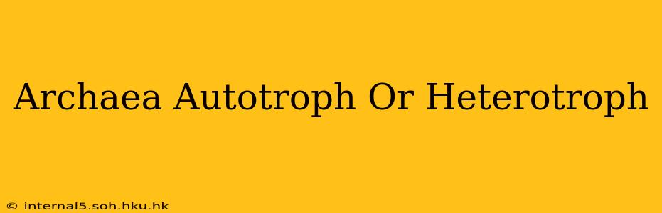 Archaea Autotroph Or Heterotroph