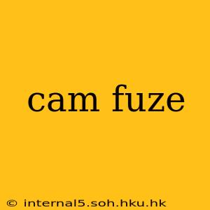 cam fuze