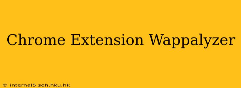 Chrome Extension Wappalyzer
