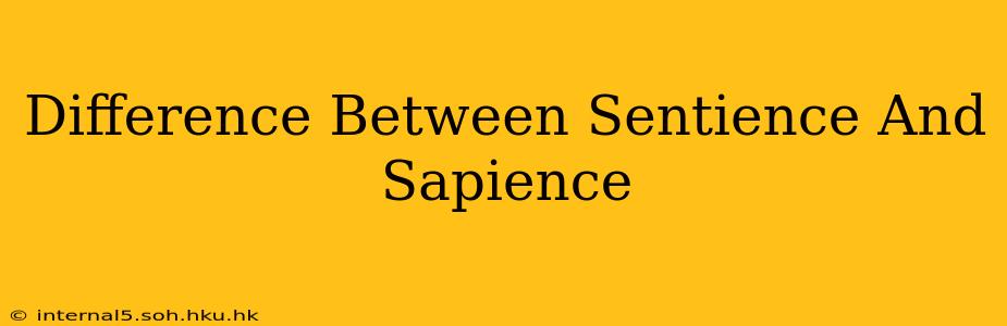 Difference Between Sentience And Sapience