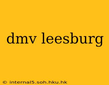 dmv leesburg