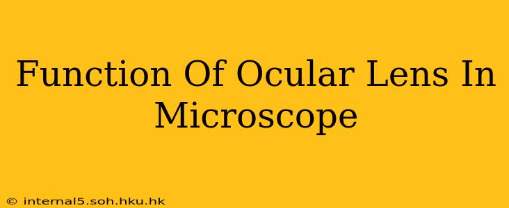 Function Of Ocular Lens In Microscope