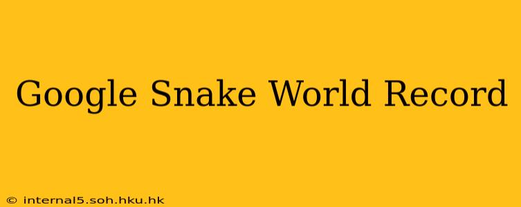 Google Snake World Record