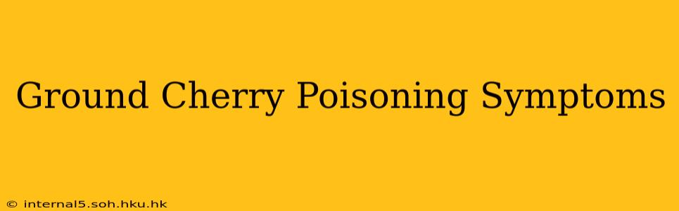 Ground Cherry Poisoning Symptoms
