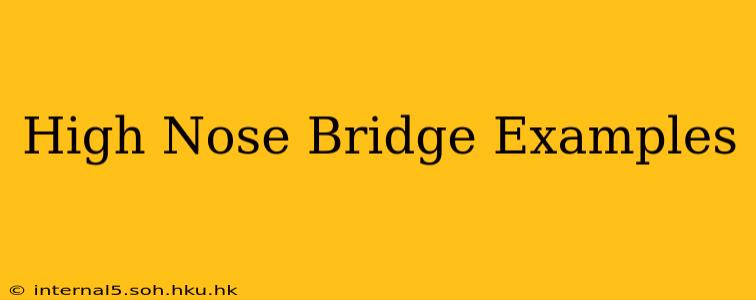 High Nose Bridge Examples
