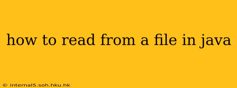 how to read from a file in java