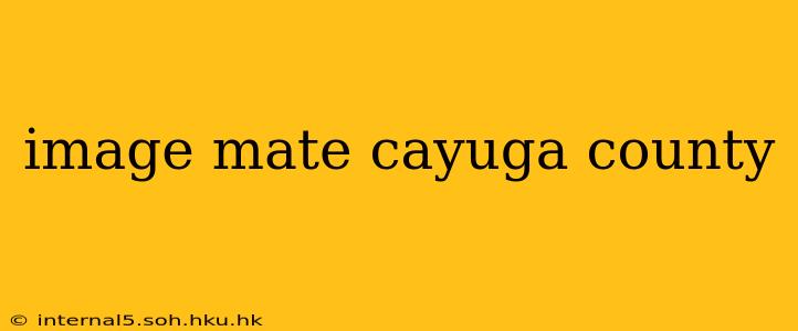 image mate cayuga county