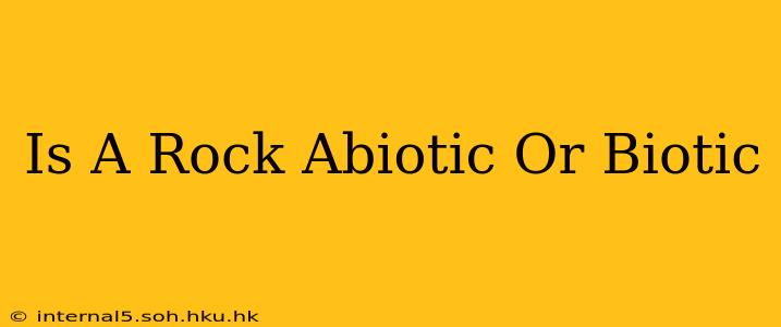 Is A Rock Abiotic Or Biotic