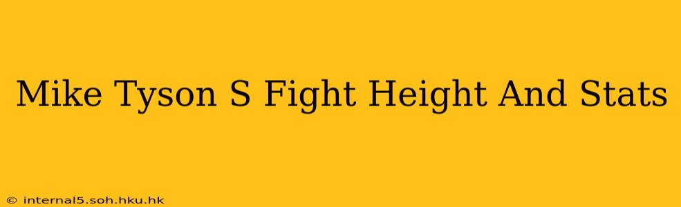 Mike Tyson S Fight Height And Stats