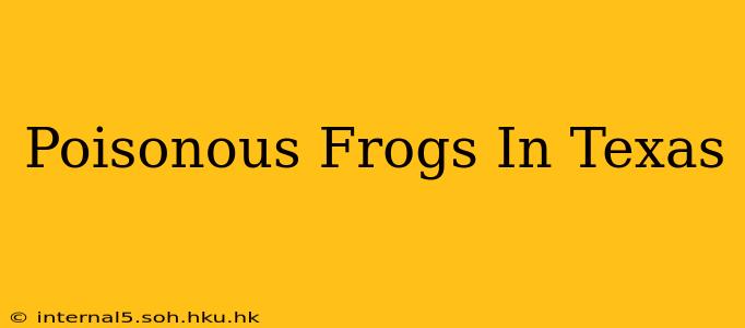 Poisonous Frogs In Texas