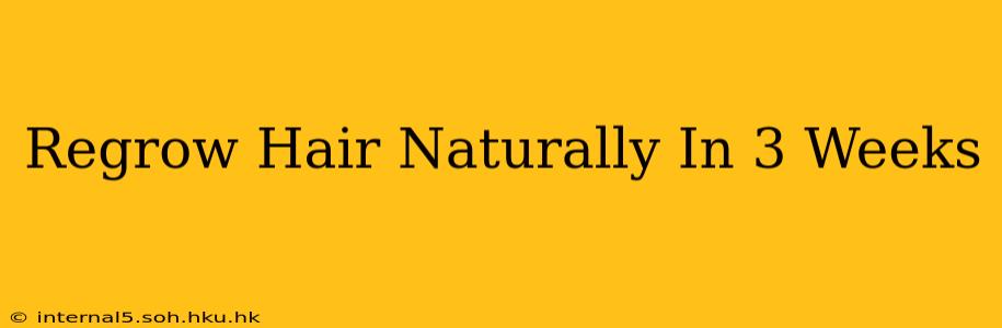 Regrow Hair Naturally In 3 Weeks
