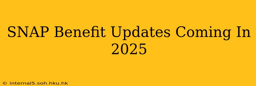 SNAP Benefit Updates Coming In 2025