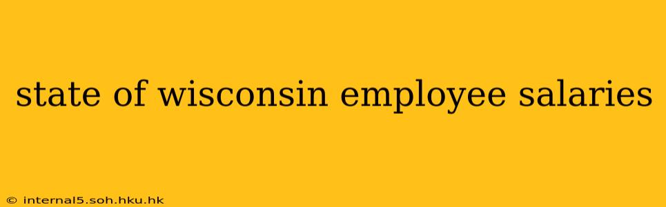 state of wisconsin employee salaries