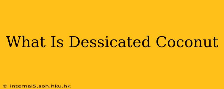 What Is Dessicated Coconut