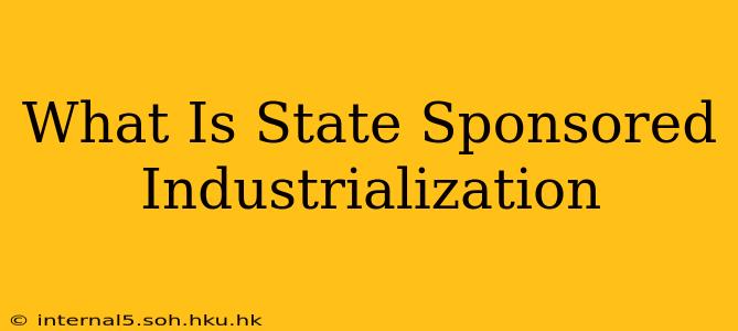 What Is State Sponsored Industrialization