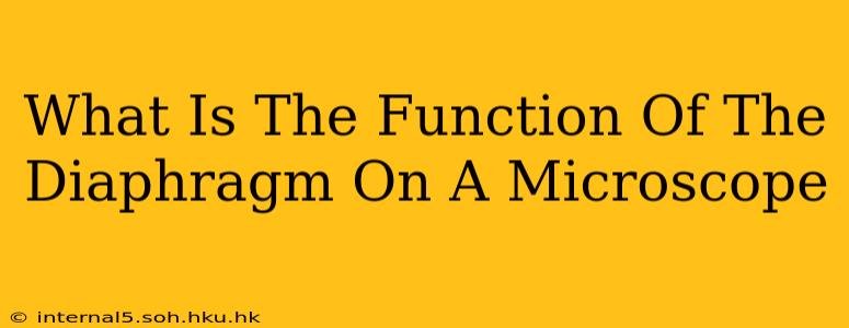 What Is The Function Of The Diaphragm On A Microscope