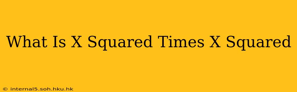 What Is X Squared Times X Squared