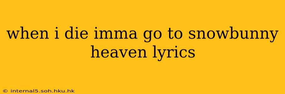 when i die imma go to snowbunny heaven lyrics
