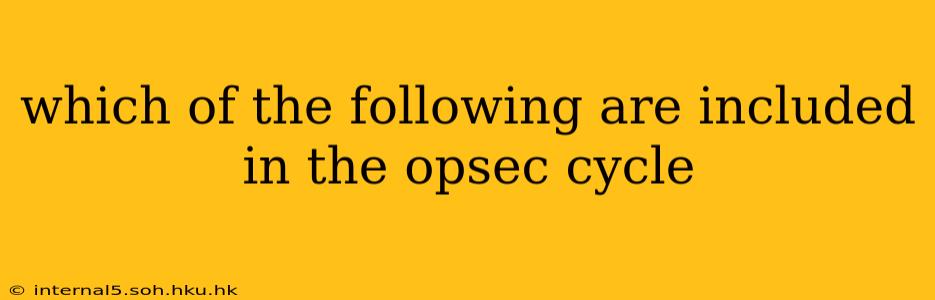 which of the following are included in the opsec cycle