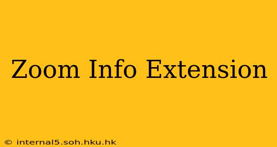 Zoom Info Extension